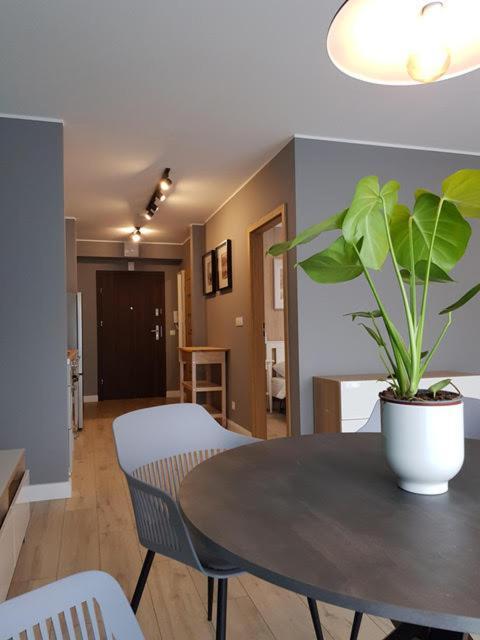 Apartament Triventi 88 Z Widokiem Na Sniezke - 5D Apartamenty Karpacz Ngoại thất bức ảnh